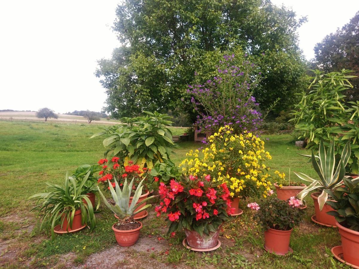 Country house Herpich Ehrenberg (Saxony)